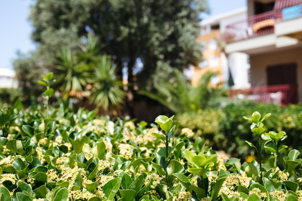 S'Arena Bianca Apartment Alghero Zewnętrze zdjęcie